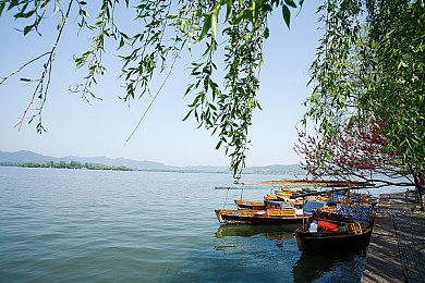 关于一杯奶茶就能游玩异世界这件事